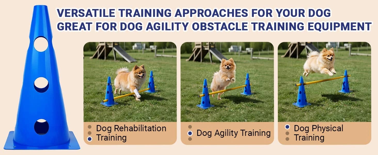 Dog Agility Course Backyard Set — product details