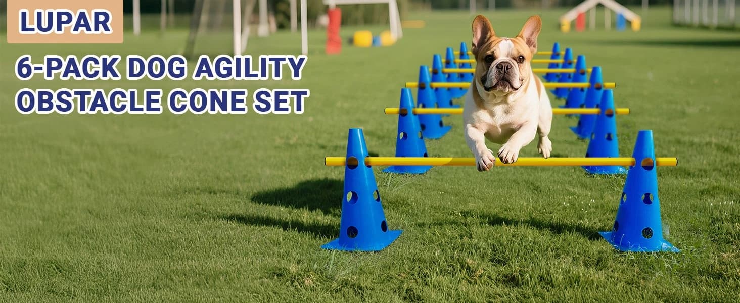 Dog Agility Course Backyard Set — product details