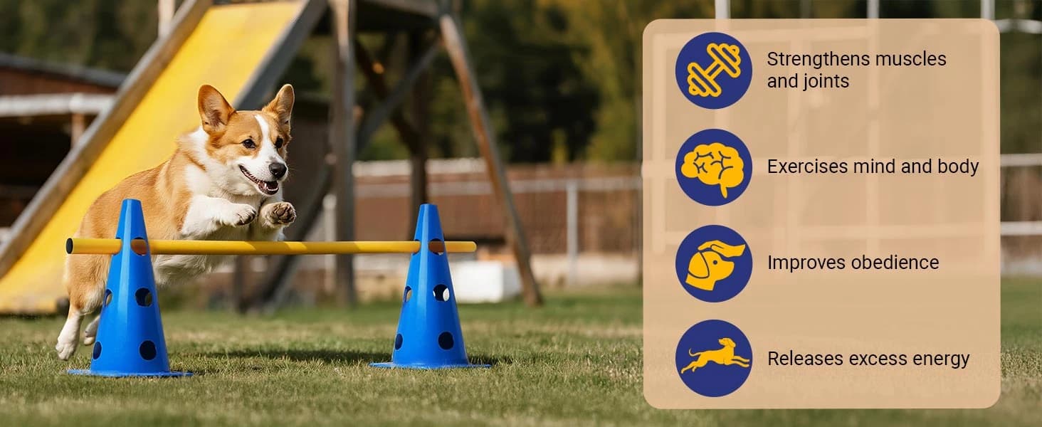 Dog Agility Course Backyard Set — product details