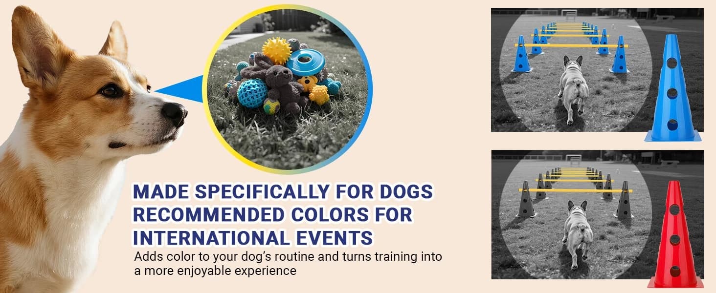 Dog Agility Course Backyard Set — product details
