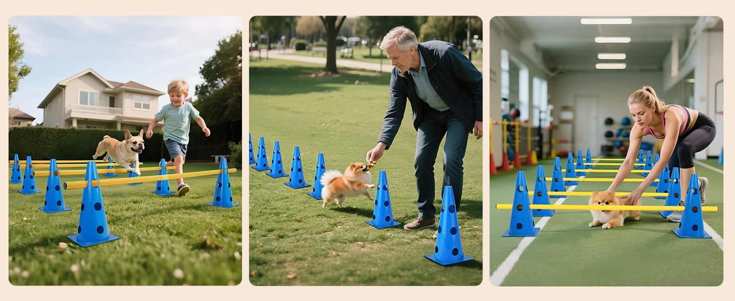 Dog Agility Course Backyard Set — product details