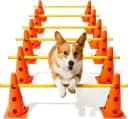 Dog Agility Course Backyard Set