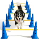 Dog Agility Course Backyard Set
