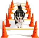 Dog Agility Course Backyard Set