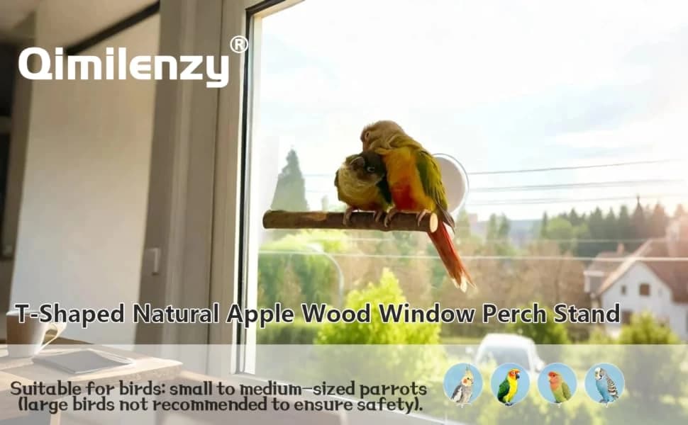 Portable Bird Perch Stand- T-Shaped Natural Apple Wood with Vacuum-Grip Suction Cup for Windows — product details