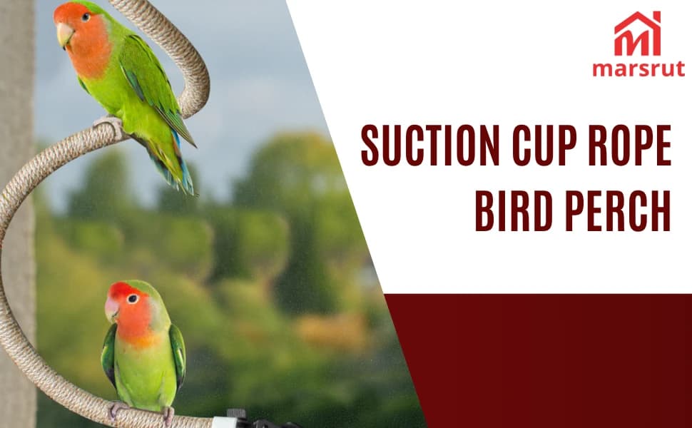 Suction Cup Rope Bird Perch - Bendable Parrot Standing Toy for Climbing and Grinding — product details