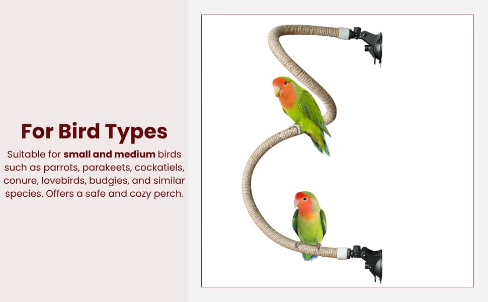Suction Cup Rope Bird Perch - Bendable Parrot Standing Toy for Climbing and Grinding — product details