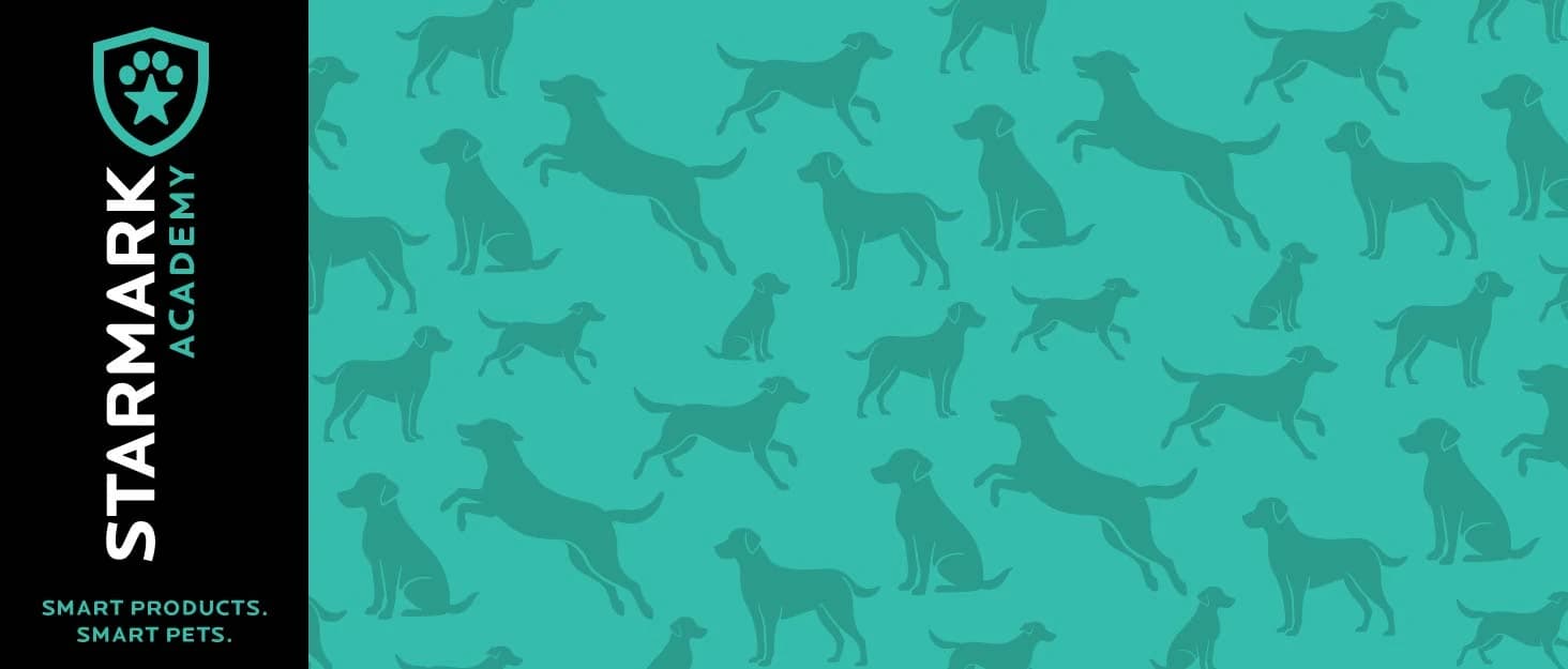 Pro-Training Clicker for Dogs — Reward-Based Pet Training — collection imagery