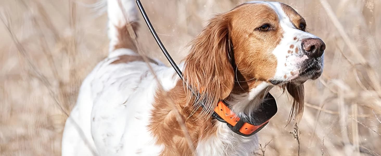Roy Gonia Special Whistle - Orange — product details