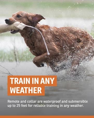 Brand Competition Mega Whistle - Hunting Dog Training Whistle with Easy-to-Blow Design - Protects Handlers Ear — collection imagery