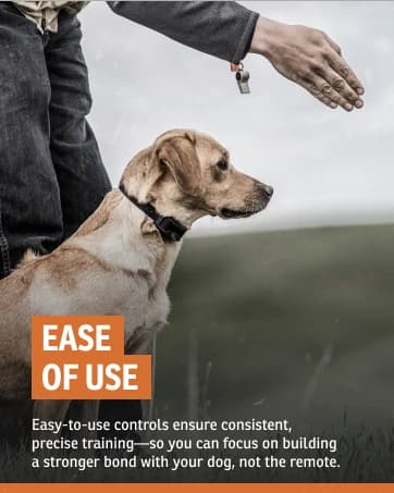 Brand Competition Mega Whistle - Hunting Dog Training Whistle with Easy-to-Blow Design - Protects Handlers Ear — collection imagery