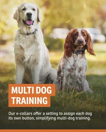 Brand Competition Mega Whistle - Hunting Dog Training Whistle with Easy-to-Blow Design - Protects Handlers Ear — collection imagery