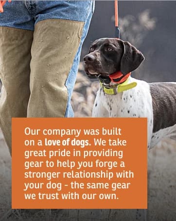 Brand Competition Mega Whistle - Hunting Dog Training Whistle with Easy-to-Blow Design - Protects Handlers Ear — collection imagery