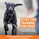 Brand Competition Mega Whistle - Hunting Dog Training Whistle with Easy-to-Blow Design - Protects Handlers Ear