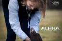 Alpha 211.5 Professional Dog Training Whistle with Enhanced Ergonomic Grip. BPA-Free Plastic. 110 dBA. Long
