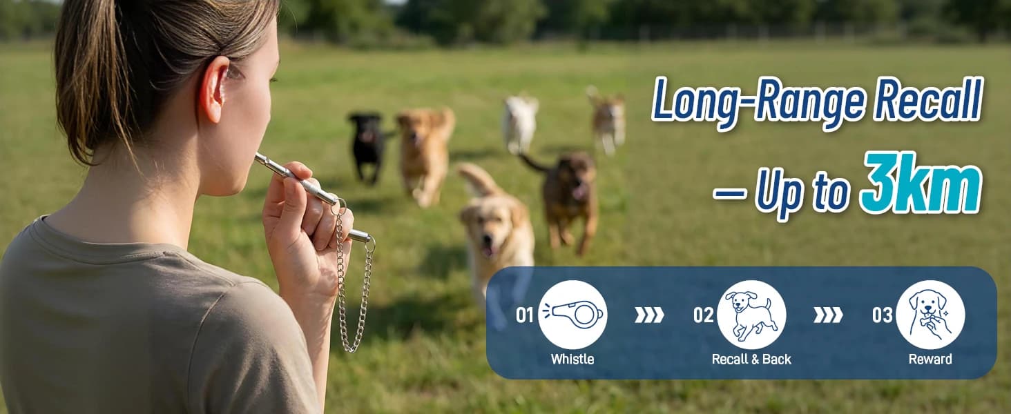Dog Training Whistle to Stop Barking — product details
