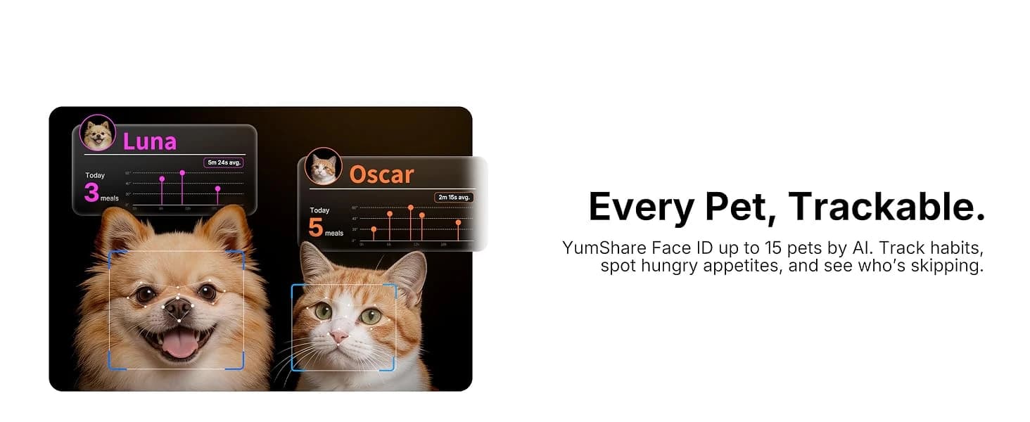 Upgraded Multi-Cat Recognition Automatic Cat Feeder with Camera — collection imagery
