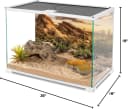36x18 in Desert Reptile Habitat Backdrop — Oasis Cactus Terrarium Background
