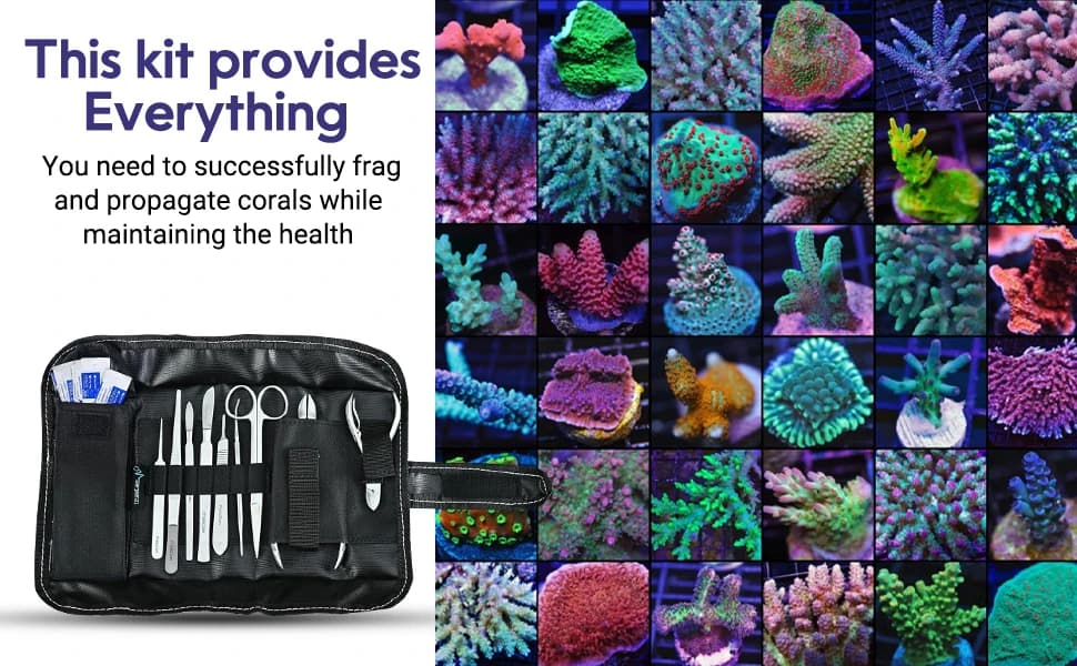 Premium Coral Fragging Kit — Complete Coral Propagation and Fragging Set — product details