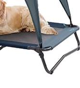 Outdoor Dog Bed — Cooling Elevated Pet Bed Portable Raised Dog Bed with Breathable Mesh — collection imagery