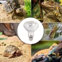 Full Spectrum UVA + UVB Sun Lamp Self-Ballasted Vapor Lamp/Bulb/Light for Reptile and Amphibian Use