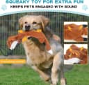 Flirt Pole for Dogs - Heavy Duty Interactive Dog Rope Toy