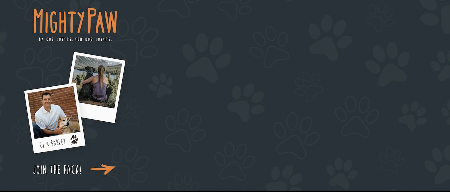 Smart Bell 2.0 Dog Door Bell for Potty Training Dogs and Puppies — collection imagery