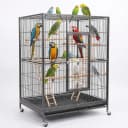 3 Pcs Bird Ladder — Wooden Bird Cage Ladder Bird-Ladder for Cage Climbing Ladders for Parakeets Parrots Cockatoo(4