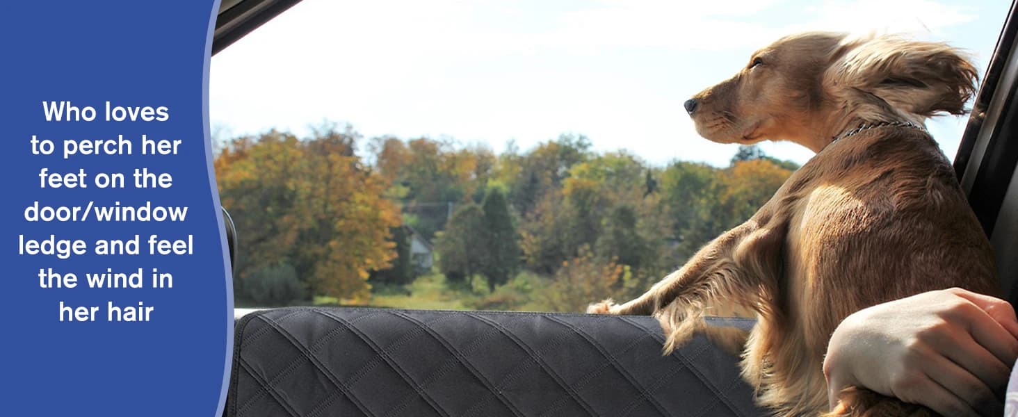 Dog Car Door Protector 2-Pack — Your furry friend freely view the scenery beside the roadway.