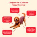 Dog Surgery Recovery Suit — Male Female After Spay Neuter Onesie