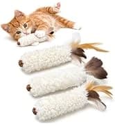 Parrot Chew Toy — Shreddable Cardboard Bird Platform — collection imagery