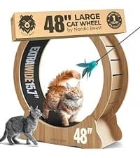 48'' XL Cat Wheel β Safe, Quiet and Stable Exercise Wheel for Large Indoor Cats up to 45 lbs β 15.7'' β collection imagery