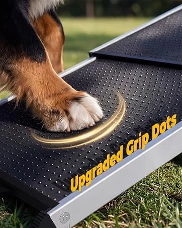 48'' Heavy Duty Dog Crates for Large Dogs — collection imagery