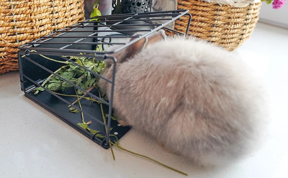 Black Metal Rabbit — Foldable Hay Feeder — product details
