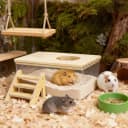 Hamster Sand Bath Box with Wood Cover