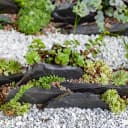 Slate Rock for Aquarium — 5-7 Inch Polished Natural Stone Rocks