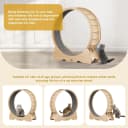 Cat Wheel — 46" XL Large Exercise Running Wheels with Detachable Carpet for Indoor Cats