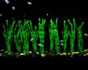 Artificial Seaweed Water Plants for Aquarium