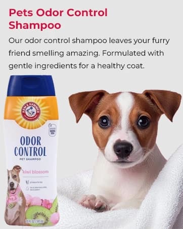 Puppy Grooming Wipes — Coconut Water — collection imagery