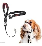 Crash Tested Dog Safety Harness | Size M — collection imagery