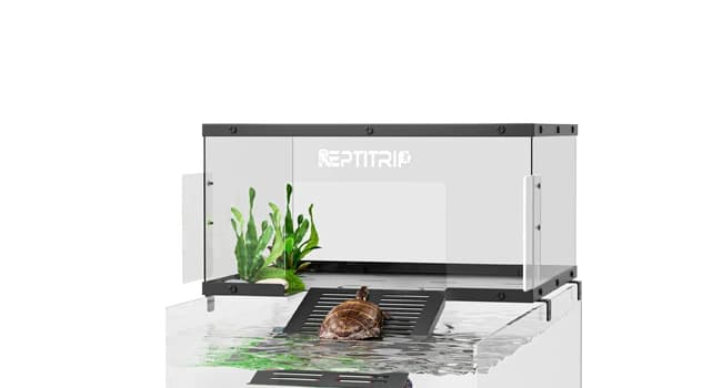 Stainless Steel Turtle Basking Platform — for 18‑20 Inch Wide Aquariums — ATB22-SS