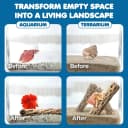 3 Pack Shrimp Cholla Wood — Aquarium Driftwood Decor for Fish Tank Setup