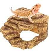 18" x 18" x 36" Front Opening Chameleon Cage with 3-Sided Metal Mesh — collection imagery