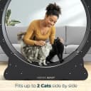 48'' XL Cat Wheel – Safe, Quiet and Stable Exercise Wheel for Large Indoor Cats up to 45 lbs – 15.7''