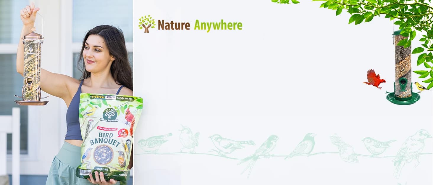 Window Bird Feeder with Strong Suction Cups — collection imagery