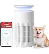 WiFi Water Leak Detector for Home — collection imagery