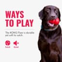 Flyer — Natural Rubber Flying Disc Fetch Toy