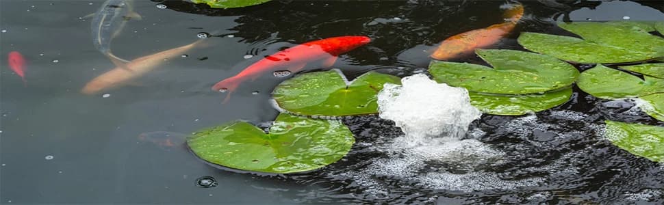 Pond Liner — 20 Mil HDPE Pond Liners for Outdoor Ponds — collection imagery