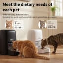 RFID Automatic Cat Feeder — Collar Tag for Personalized Meal