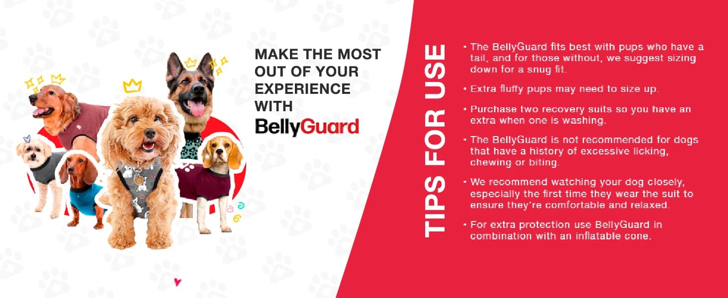 Dog Surgery Recovery Suit — Male Female After Spay Neuter Onesie — product details